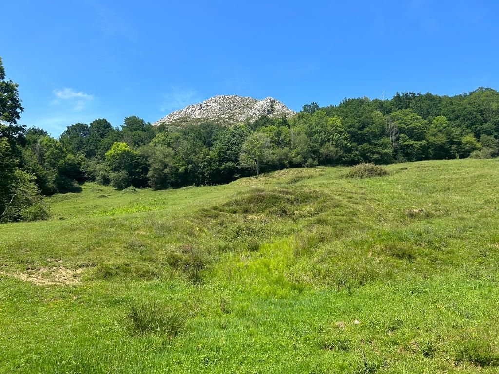 Terreno rústico em Parres, Concejo de Parres, venda